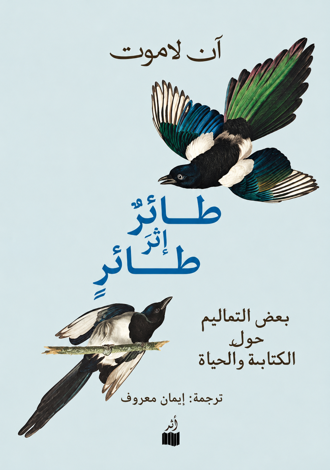 طائر إثر طائر: بعض التعاليم حول الكتابة والحياة - آن لاموت